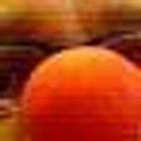 papp (@papp) Twitter profile photo