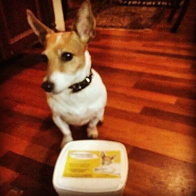 MartaKtennis's profile picture. All about healthy and fit living including providing only the best nutritional food for dogs to give them best quality of a healthy Life!