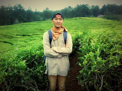 MUSINGIN