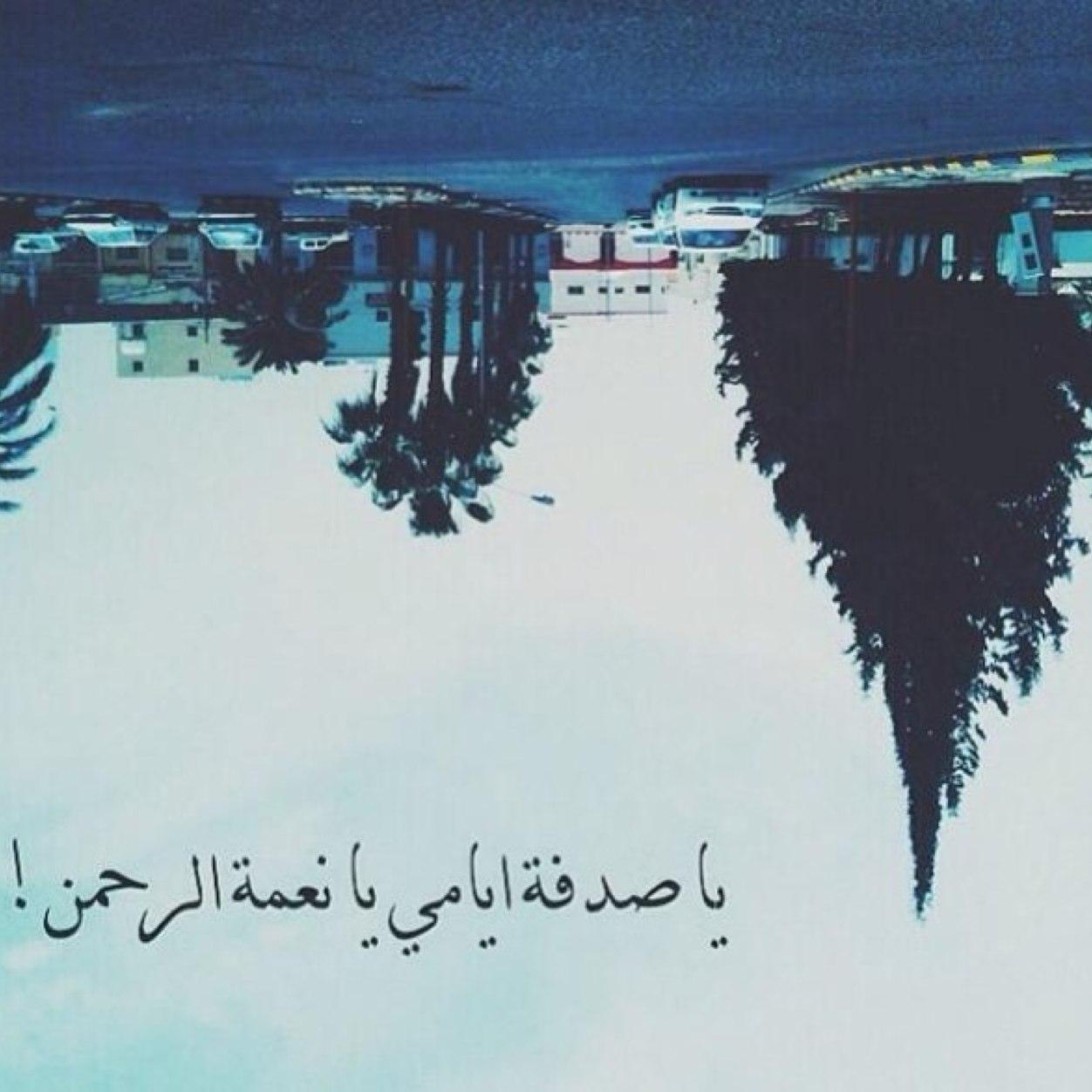 ﴿ قُلْ هُوَ اللهُ أَحَدٌ ۝ اللهُ الصَّمَدُ ۝ لَمْ يَلِدْ وَلَمْ يُولَدْ ۝ وَلَمْ يَكُنْ لَهُ كُفُوًا أَحَدٌ ۝ ﴾.