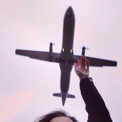 danieliaus's profile picture. 