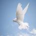 therevealedword (@holyspiritrhema) Twitter profile photo therevealedword (@holyspiritrhema) Twitter profile photo