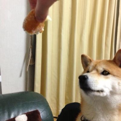 気がつけば、一日が終わってた。そんな日々。福岡→東京→福岡