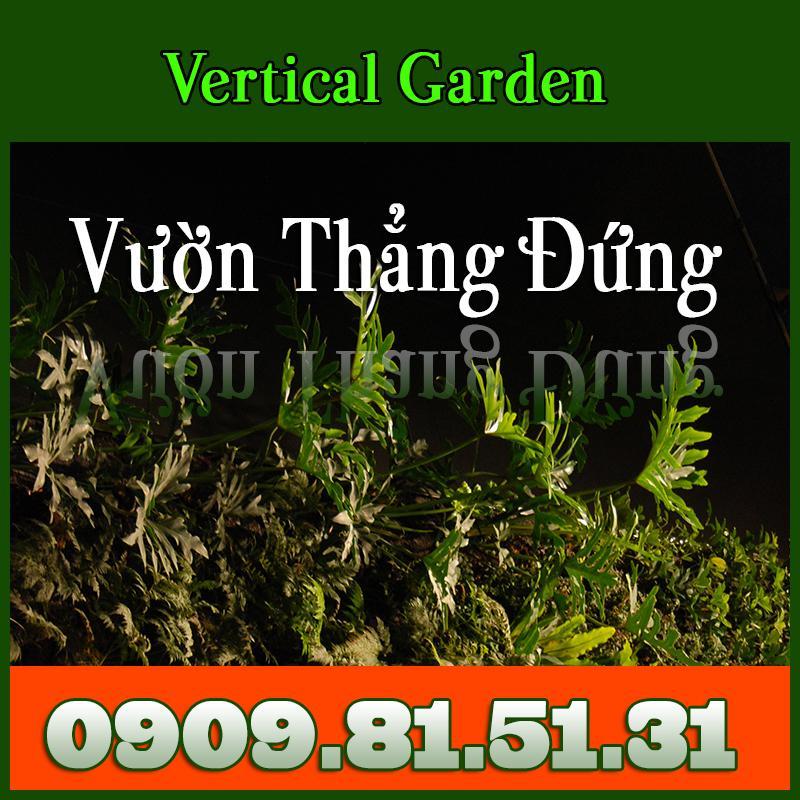 AnextGroup Thi Công Vườn Thẳng Đứng. 0909815131