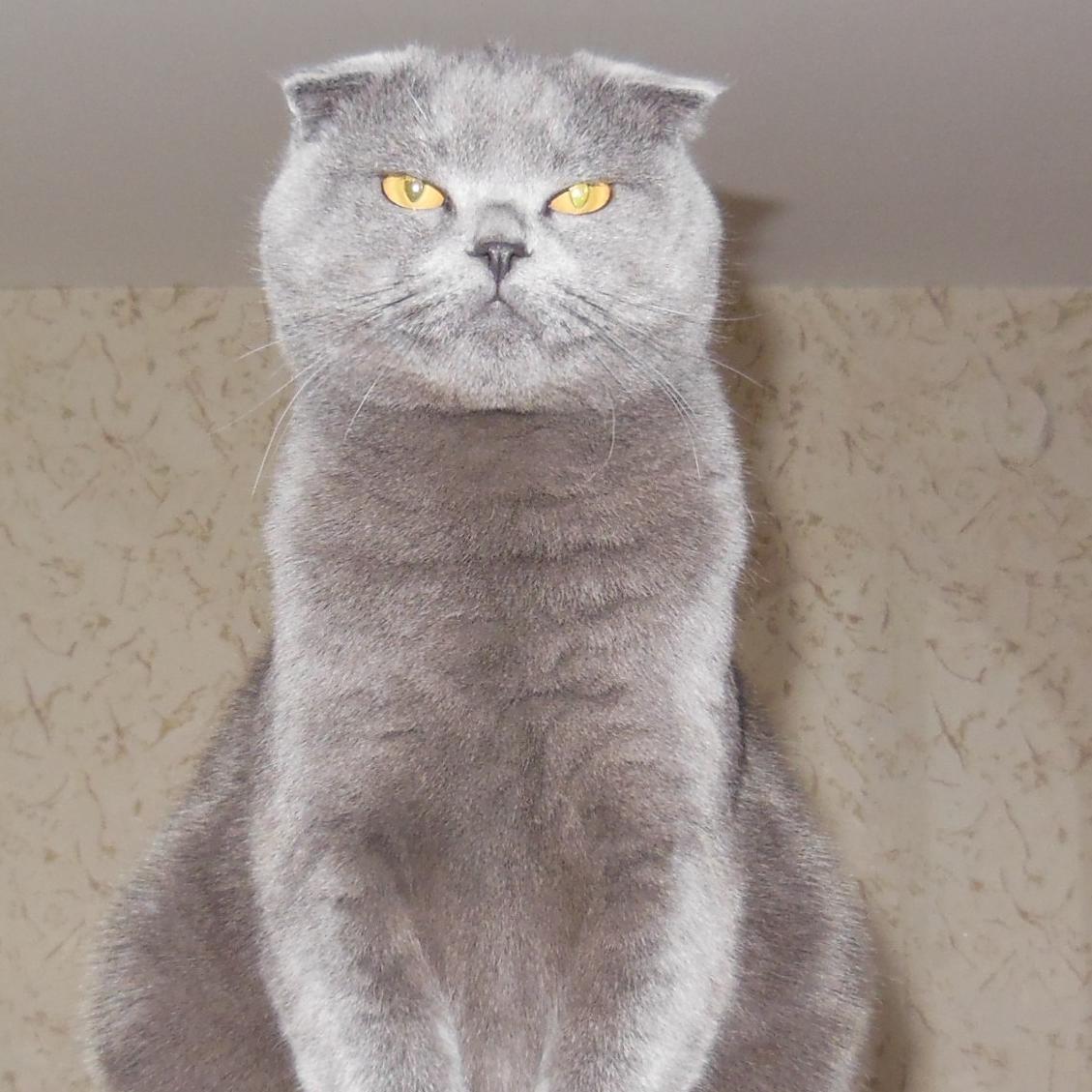 olmix093's profile picture. 