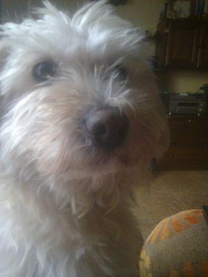 IsabelEdipo1959's profile picture. 