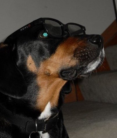 tawjunior1's profile picture. Teacher, Friend, and Dancer