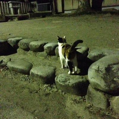 ck5lB1Utafp5lCU's profile picture. 山高／野球部／2年