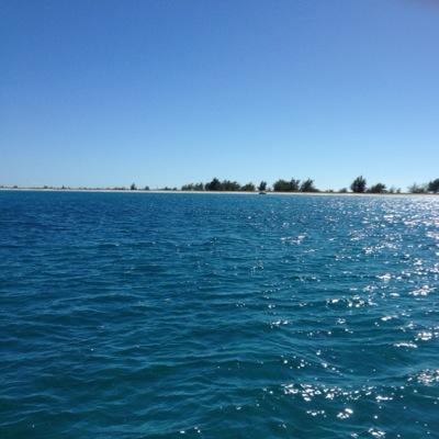 MrsMcFarlane1's profile picture. 