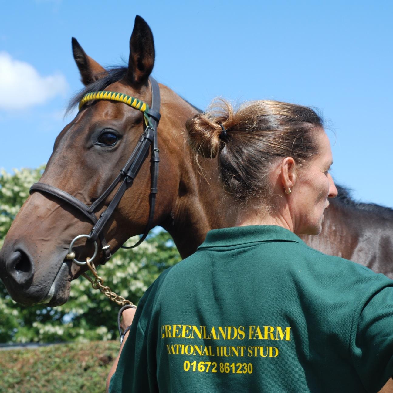 Greenlands Farm, National Hunt Stud, Marlborough, Wiltshire. Breeding winning racehorses since 2009.