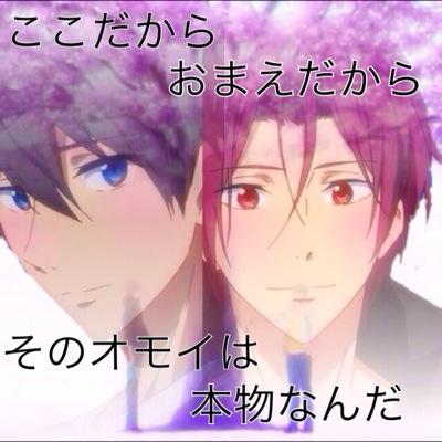 あんこりこりさんのプロフィール画像