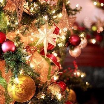 ForwordD_'s profile picture. forget me.