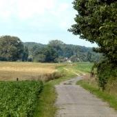 buitenggenieten's profile picture. Tweeting about hospitality & food // Dutch countryside // Hotelier life