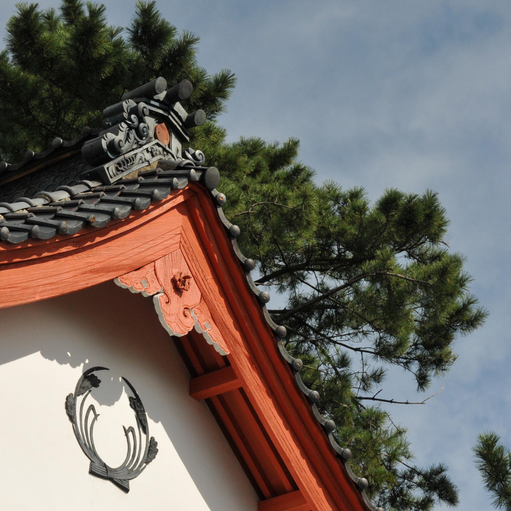 飯田　はやてさんのプロフィール画像