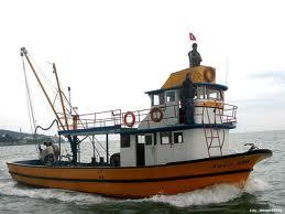 KaptanCamgoz's profile picture. bizde herşey hamsidir. annına hamsi yaz seni bile yerim. bu arada AKPKKlı koyunlar için yoncam yoktur.