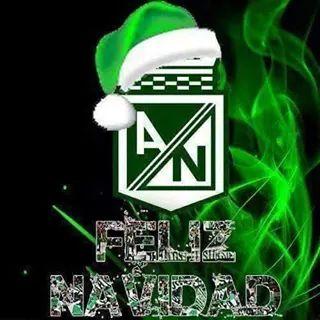 everpa75's profile picture. 