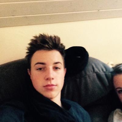 StylerSheep's profile picture. 