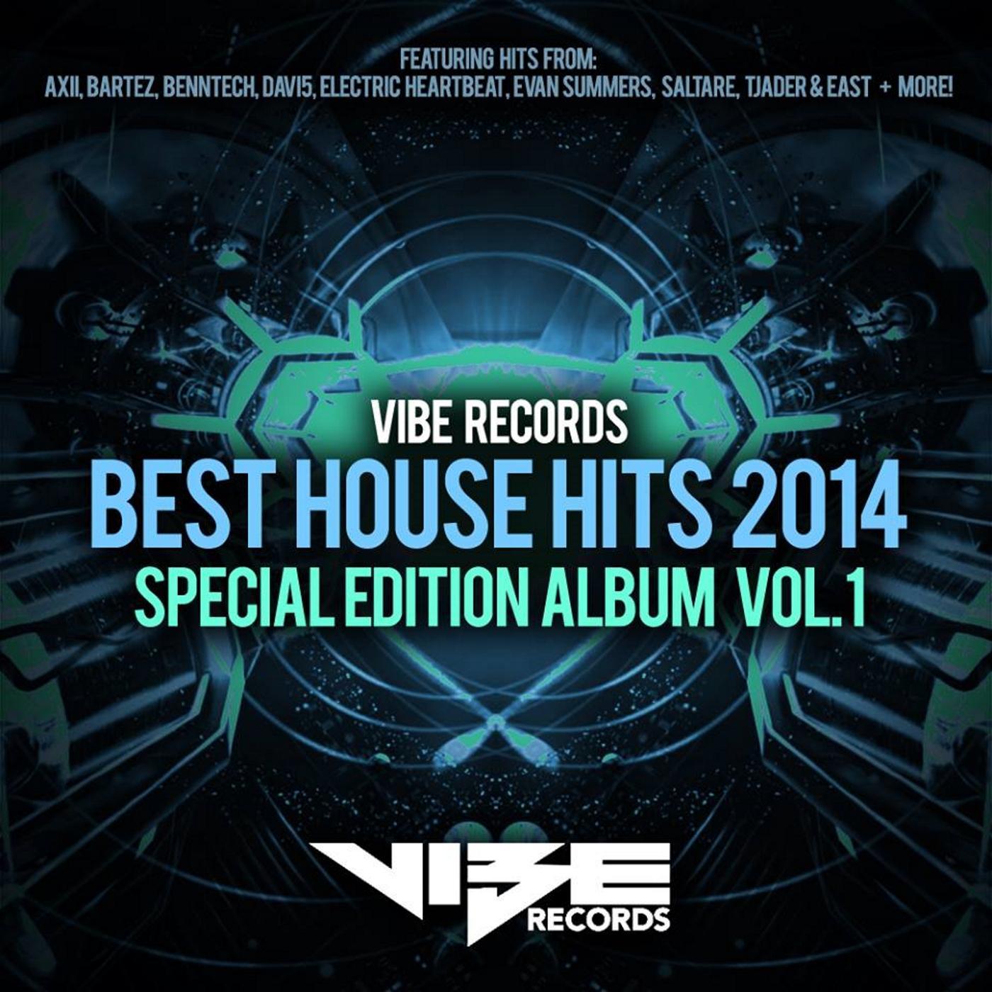 Vibe Records is an independent label focused on Progressive / Electro House and Techno.