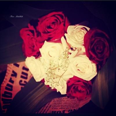 حسابي الاول Ftoo_1111مقفل تابعوني على الجديد@Fato_abdullah_
الدايركت مقفل ✋