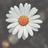 PatriciadoBorg's profile image