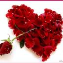ساااره (@05hyal0) Twitter