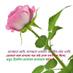shariyar prem (@prem_antor) Twitter profile photo