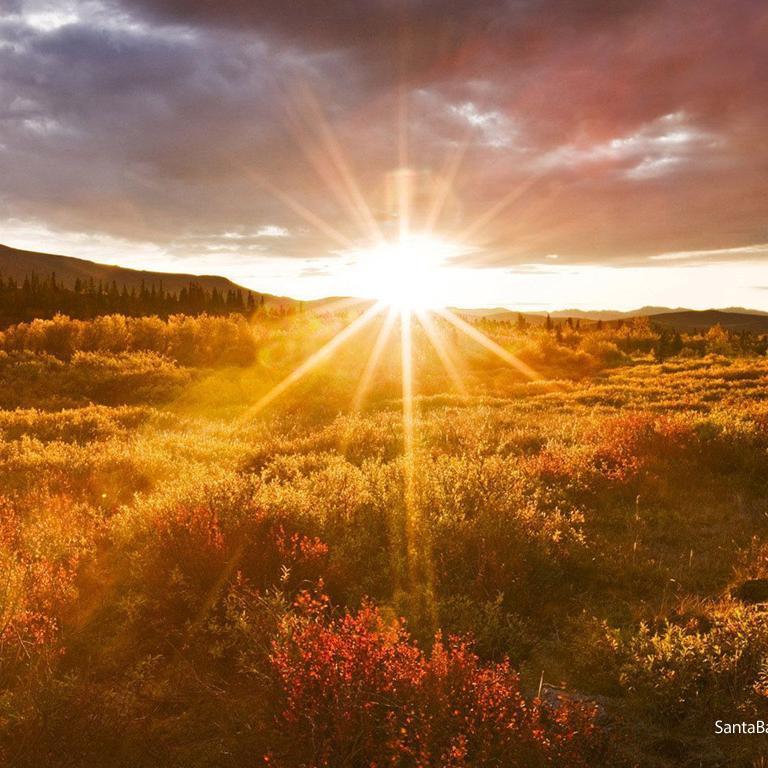 makelivesmatter's profile picture. Make Lives Matter