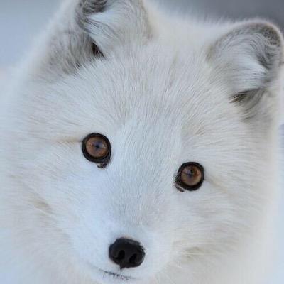 好きな人をフォローしております…m(_ _)m 20↑
