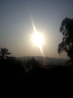 YMefire's profile picture. 