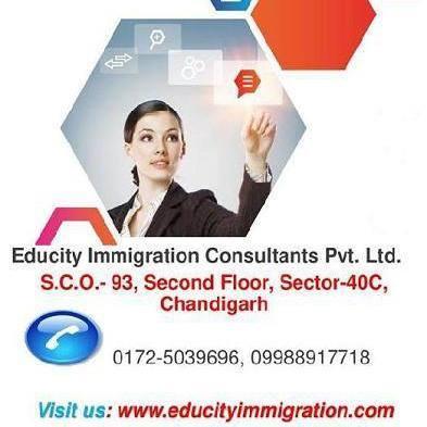 educityadmision's profile picture. 