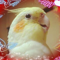 9さいさんのプロフィール画像