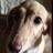 yki246's profile image