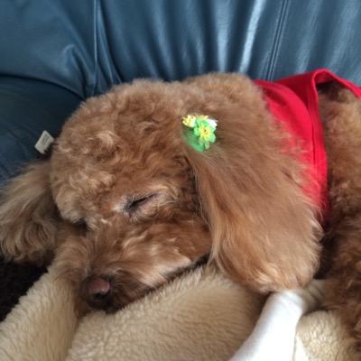 Yasumasa_s's profile picture. 宇宙から見れば瞬き 足るを知る　もっと豊かに