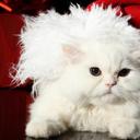 Holly Elizabeth Dark - @HollyDark - Twitter