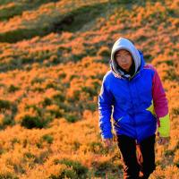 Jimmy Kang (@jimmmmmmtw) 's Twitter Profile
