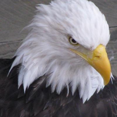 mudinyereyeball's profile picture. 