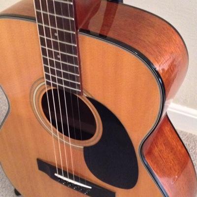 HarmonicCMajor's profile picture. Musician on the inside--trying to get to the outside