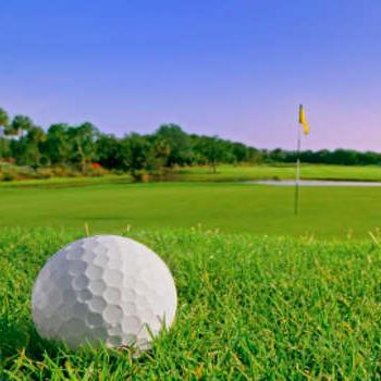 Tenesha665's profile picture. ゴルフでよくあること、いわゆるゴルフあるあるです！あるあると思ったらフォロー＆RTお願いします！