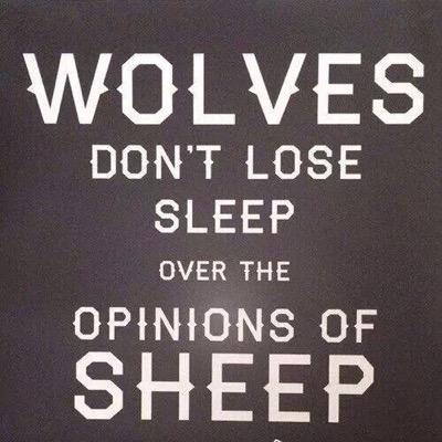 _jennmeyer202_'s profile picture. 