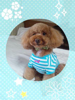 会話は、少々苦手です。それでもいいと言う方フォローお願いしますm(__)m  よろしくお願いします(≧▽≦)