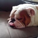 Dan Snee - @dan_snee - Twitter