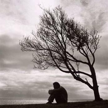 For better or worse, that's all we can do. Survive and … … may be one day, forget how much it can hurt to be human.