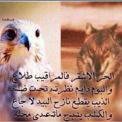 ‏‏‏‏‏‏‏‏‏‏‏‏ثلاثة اشياء فالحياه لا تقدر بثمن ( احترام الذات . الحب . الاصدقاء )         (  ولد روووق ابن 23 عاما  )    نجد العذيه .. ♡      ..♡