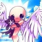 Angel Caido