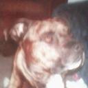 Jenna Barton - @JennaBa63157762 - Twitter