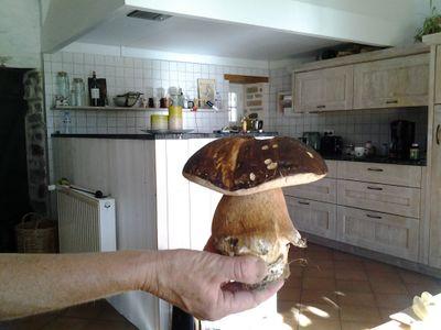 eigen baas, getrouwd met Aaltje, vader van Tom en Rosanne,humanist, natuur-en dierenliefhebber,Ajax-fan,sportliefhebber, drinkt graag een glas wijn of pinot,