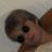 EmilPerAlnes's profile image