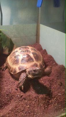 devwindish's profile picture. importer/exporter and purveyor of high quality, low end.