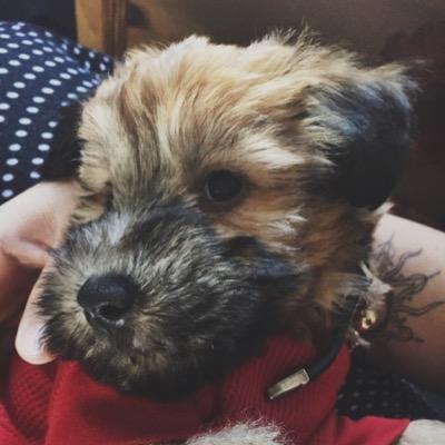 Sup, im Tedward... But you can call me teddy