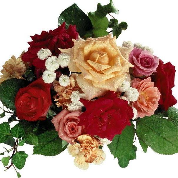 @34fuzuli34 FAN HESABIDIR...